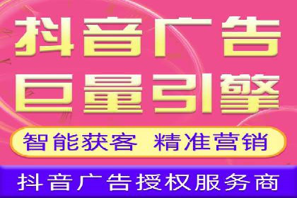 某电商平台的SEM推广实践与效果展示